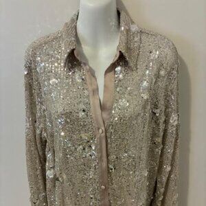 Zara silver sequin Top